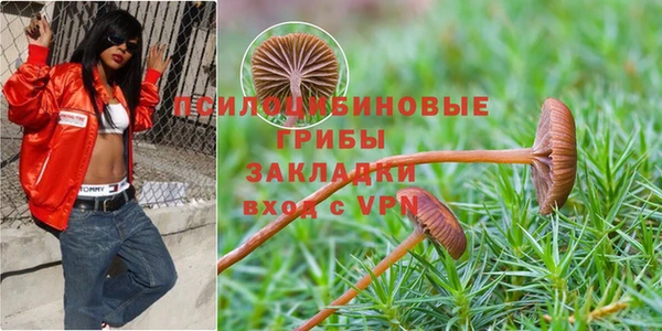 твердый Алексин