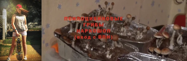 прущая мука Абдулино