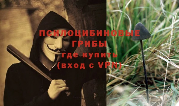 mix Абаза